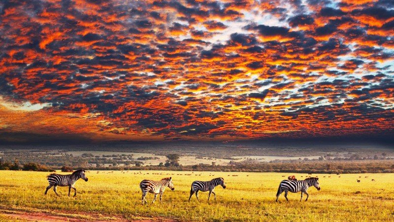 Serengeti National Park